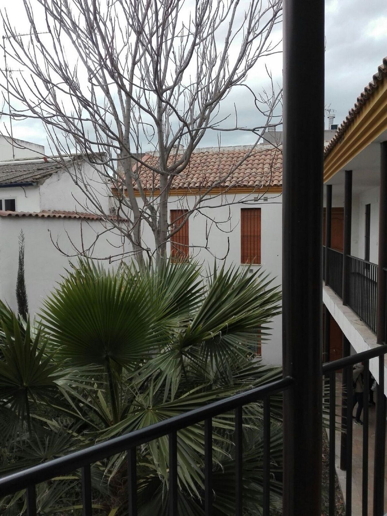 Apartamento Alfonso XII Cordova Esterno foto